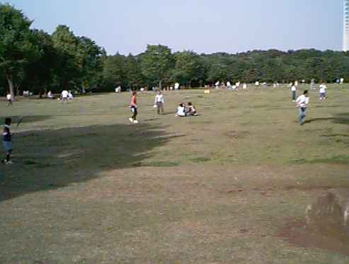 ���͌������P