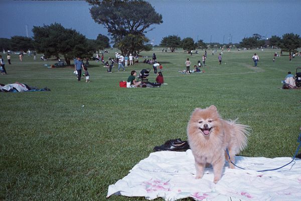 国営ひたち海浜公園