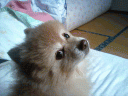 CA330024.jpg