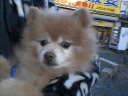 CA330024.jpg