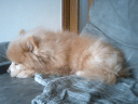 CA330047.jpg