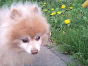 CA330073.jpg