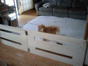 CA330085.jpg