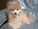 2007071401.jpg