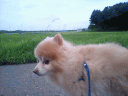 CA330094.jpg