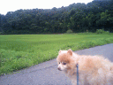 CA330096.jpg