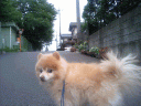 CA330097.jpg