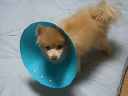 20070915.jpg