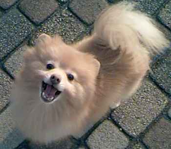 �^���[�̎ʐ^