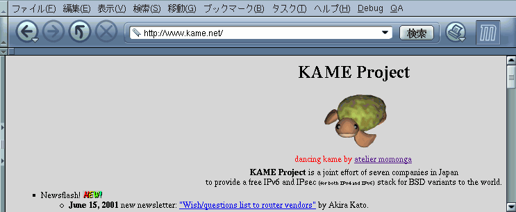 kame.net