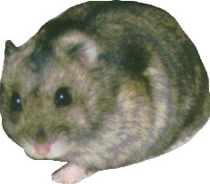 ���������ł��I