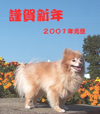 �^���[�̎ʐ^