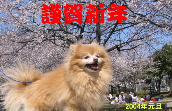 ２００４年賀