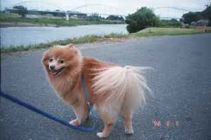 ���L��ɓ���