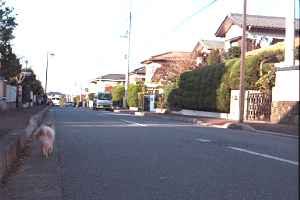 桜の公園までの街並み