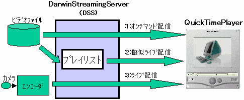 Darwin Streaming Server構成