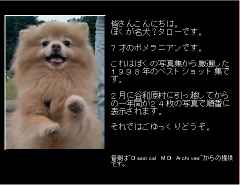 �^���[���A���