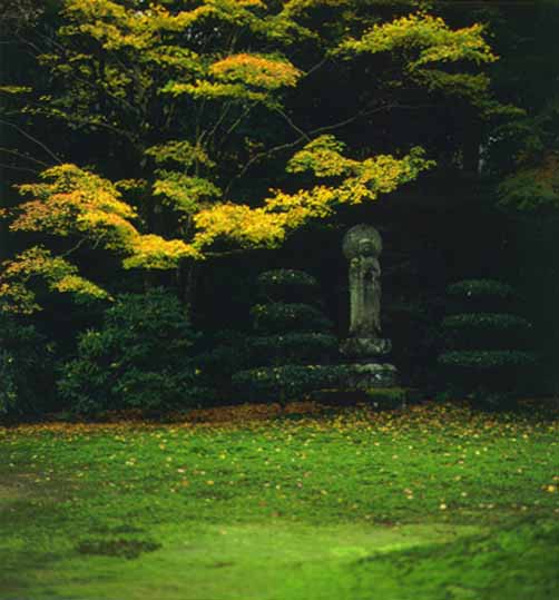  ���s�匴�O��@�̍g�t�ł��B