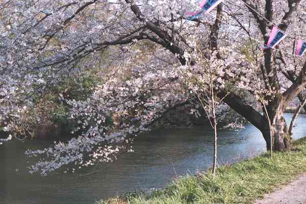 �������̍�����