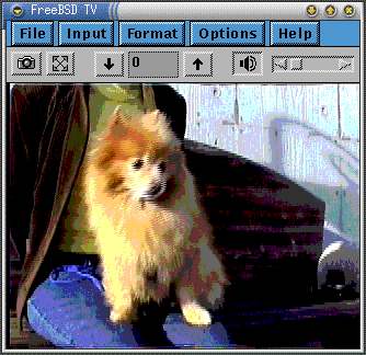 �r�f�I�L���v�`��(fxtv)