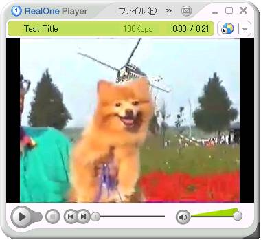 RealONEPlayer�Đ����