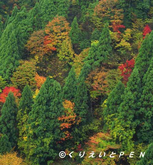  京都花背広河原の紅葉です。