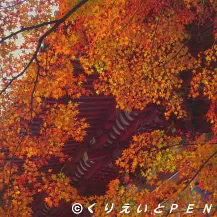  京都高雄神護寺の紅葉です。