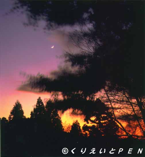 京都市東山清水寺の紅葉(夜景)です。