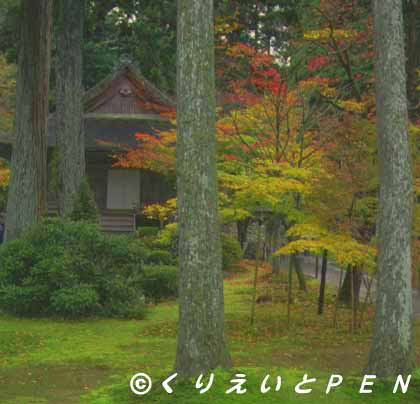  京都大原三千院の紅葉です。
