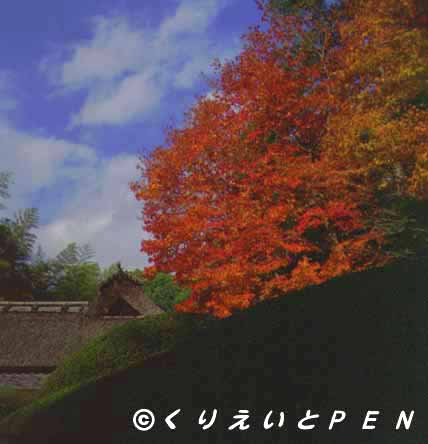  京都市左京区詩仙堂の紅葉です。