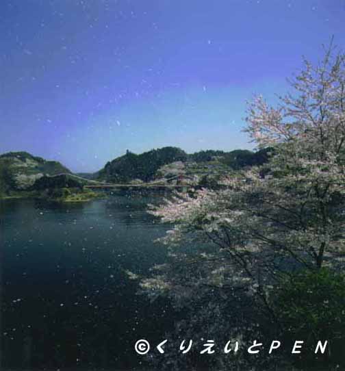 奈良県月ヶ瀬村の桜です。