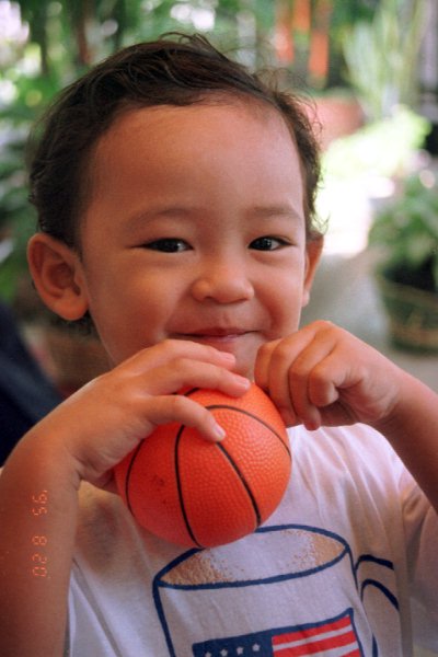 �C���h�l�V�A�E�o���r