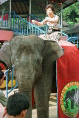 �ۂɏ��킩�����P