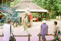 �ۂɏ��킩�����Q