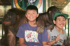 �I�����E�[�^��