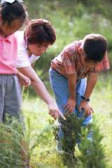 �o�b�^���P