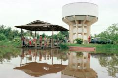 �{�[�g����