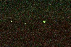 �z�^���E���