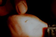 �z�^���ߊl