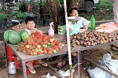 �s��E��������