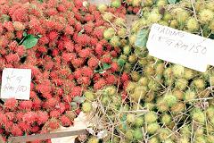 �����u�[�^��