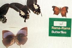 �q�������|��������