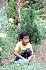 �����̂�