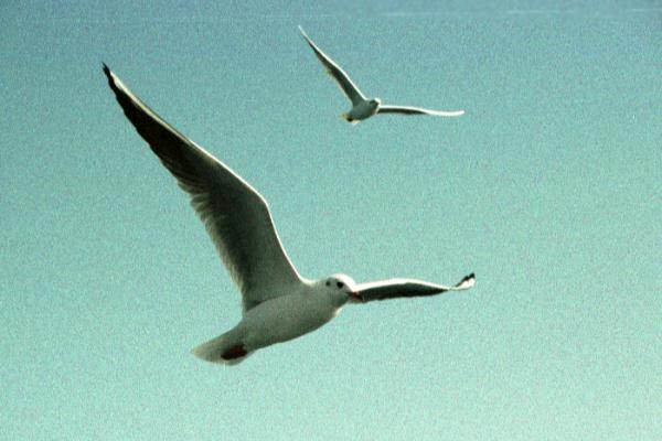 �؍��E�J����