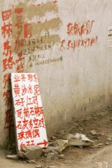 ���̗�����