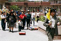 �c�t�������