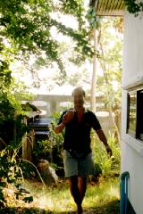 �p�p�C���̖�