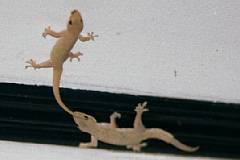 �`���`����