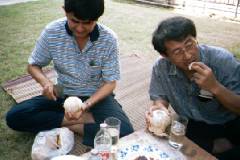 ���q�̎����ނ�