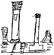 �J�b�g�F��Y